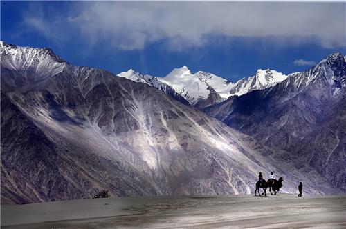 J&K Sightseeing 